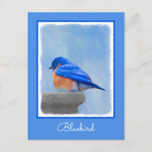 Bluebird Painting - Original Bird Art Postcard