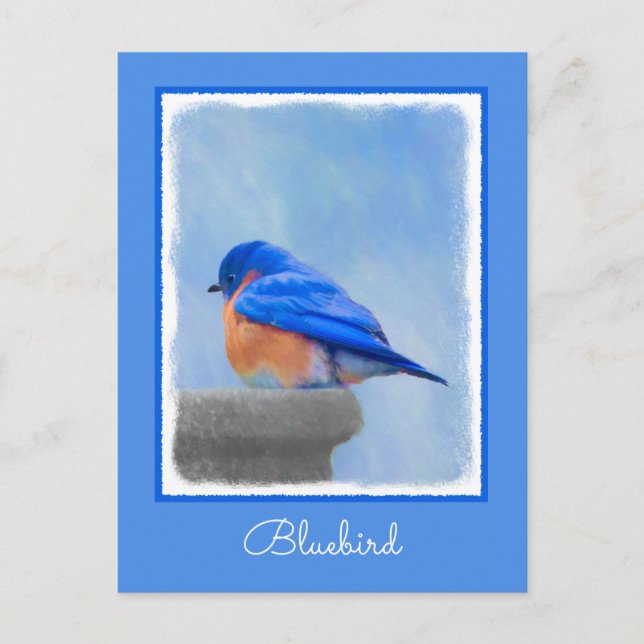 Bluebird Painting - Original Bird Art Postcard (Front)