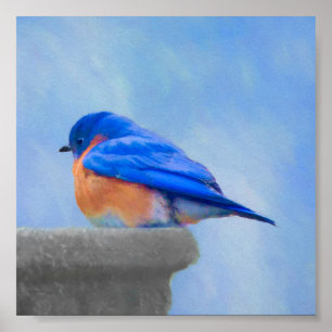 Bluebird Painting - Original Bird Art Poster