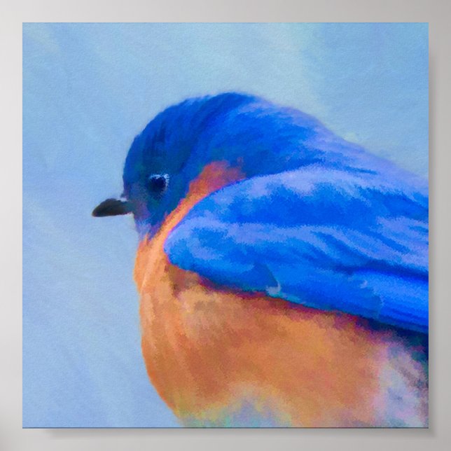 Bluebird Painting - Original Bird Art Poster (Front)
