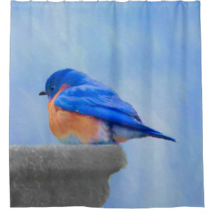Bluebird Painting - Original Bird Art Shower Curtain