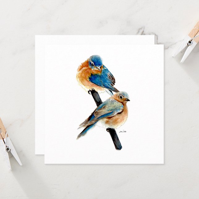 Bluebird Pair Beautiful Watercolor  (Bluebird Pair Watercolor from Jenn Steffen Art)