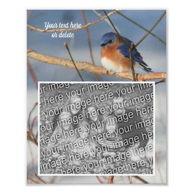 Bluebird Personalised Create Your Own 8x10 Photo Print (Front)