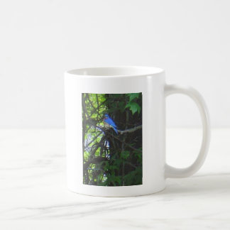 Bluebird photo mug 2