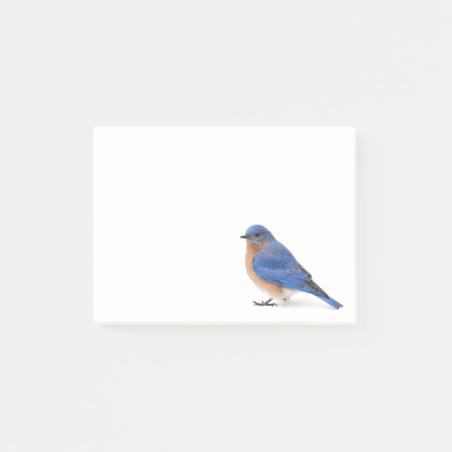 Bluebird Post-it Notes (Front)