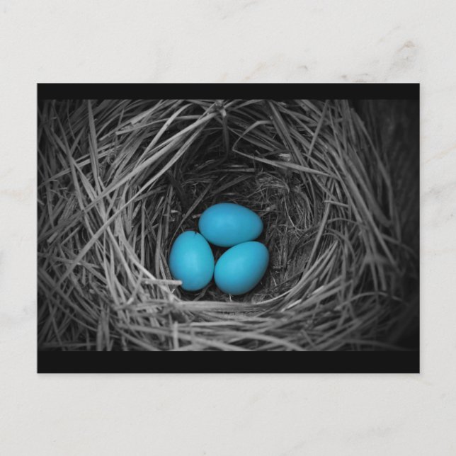 Bluebird Postcard (Front)