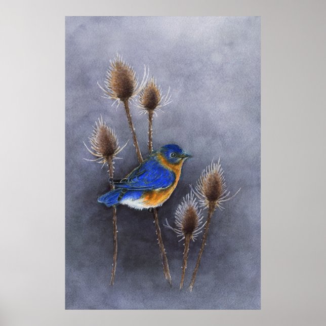 Bluebird Poster Print (Front)