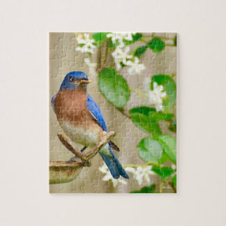 Bluebird puzzle "Early bird gets the worm"