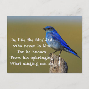 Bluebird Quote Postcard