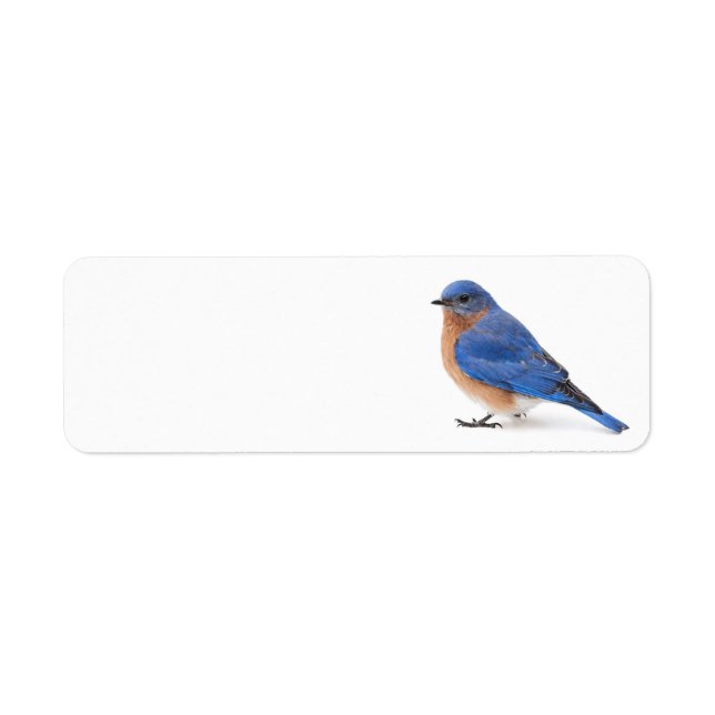 Bluebird Return Address Label (Front)