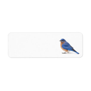 Bluebird Return Address Label