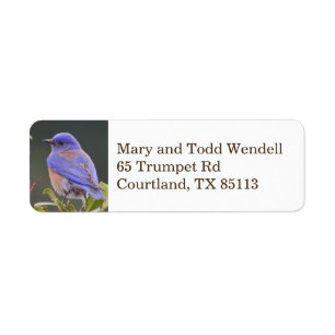 Bluebird return address label