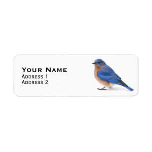 Bluebird Return Address Label