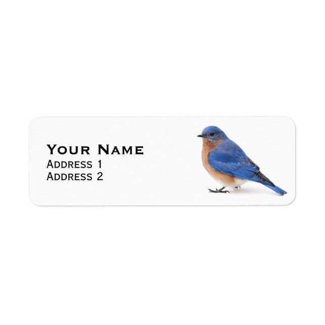 Bluebird Return Address Label (Front)