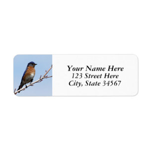 Bluebird Return Address Labels
