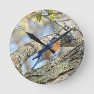 Bluebird Round Clock