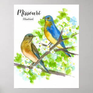 Bluebird State Bird of Missouri Poster