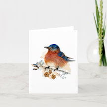 Bluebird Watercolor Note Card