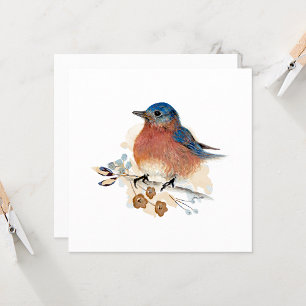 Bluebird Watercolor Painting