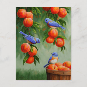 Bluebirds in a Peach Tree Orchard Postcard