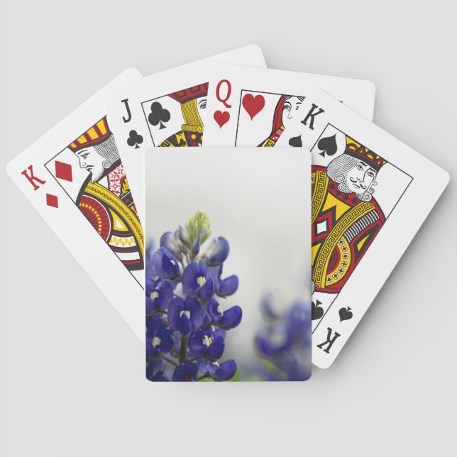 bluebonnet blue playing cards (Back)