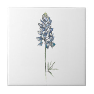 Bluebonnet Ceramic Tile