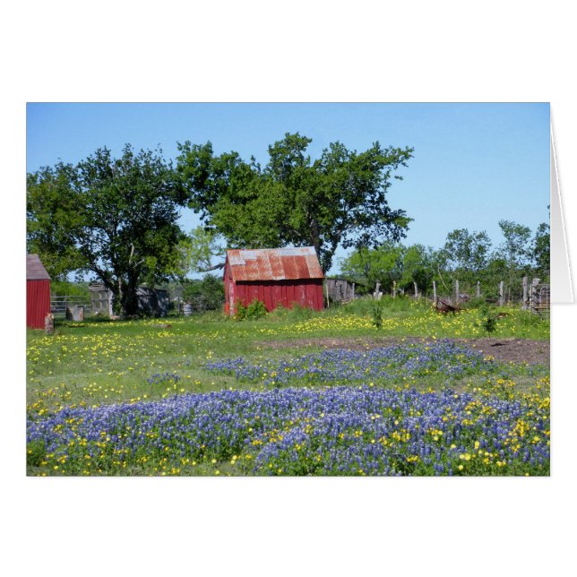 Bluebonnet Farm (Front Horizontal)