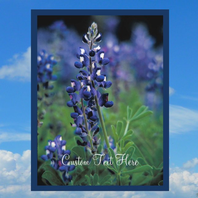 Bluebonnet Field Blue Flower Texas state Postcard (Creator Uploaded)