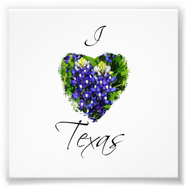 Bluebonnet "I heart Texas" Square Photograph Print (Front)