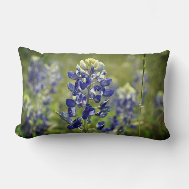 Bluebonnet Lumbar Cushion (Front)