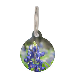 Bluebonnet Pet Tag
