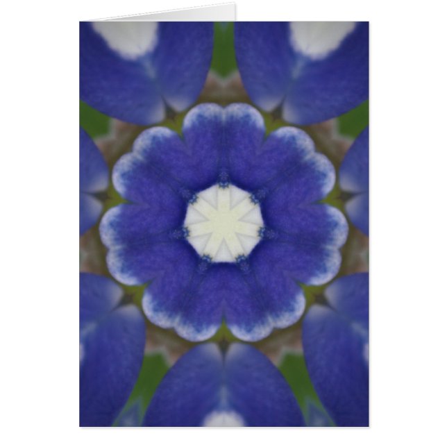 Bluebonnet Petal Kaleidoscope (Front)