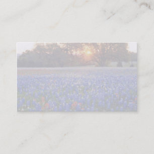 bluebonnet sunrise business card