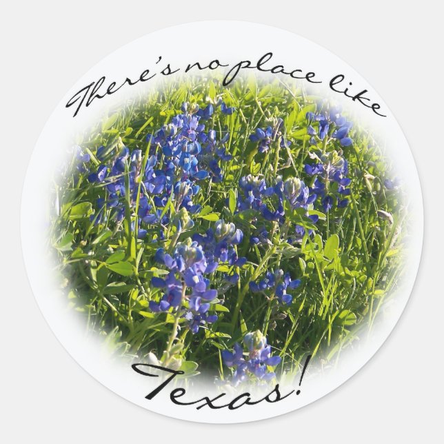 Bluebonnet "There's no place like Texas" Sticker (Front)