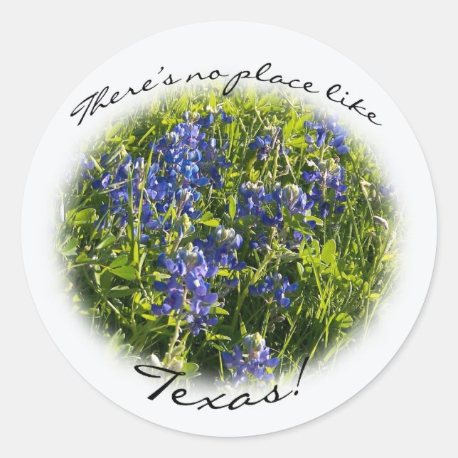 Bluebonnet "There's no Place Like Texas." Sticker (Front)