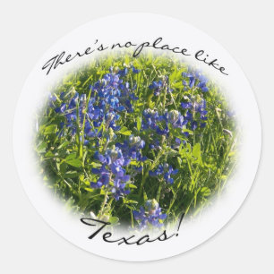 Bluebonnet "There's no Place Like Texas." Sticker