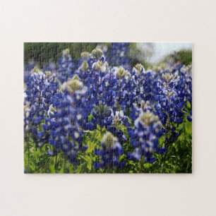 bluebonnet wildflower jigsaw puzzle
