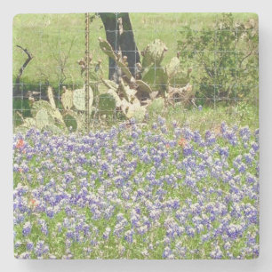 Bluebonnets And Catus Marble Stone Coasters
