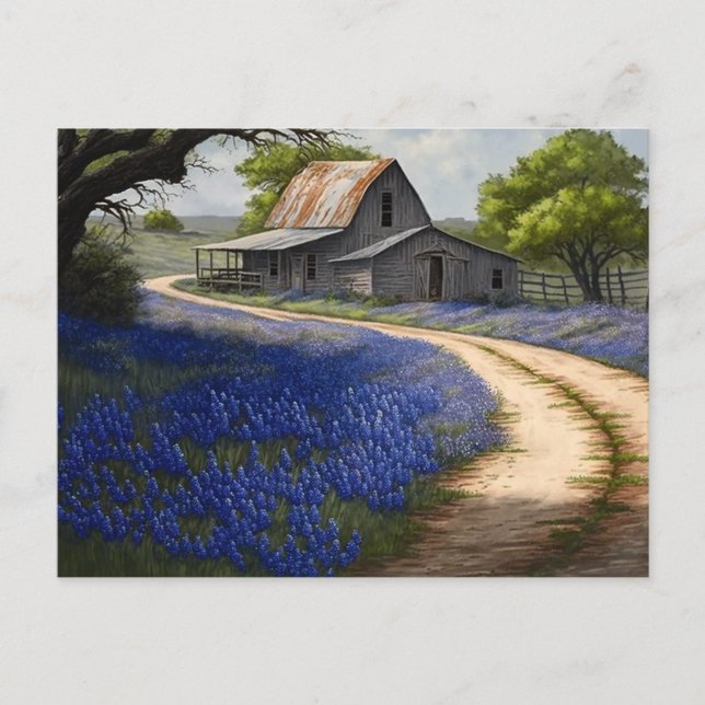 Bluebonnets and Old Barn in Texas Postcard (Front)