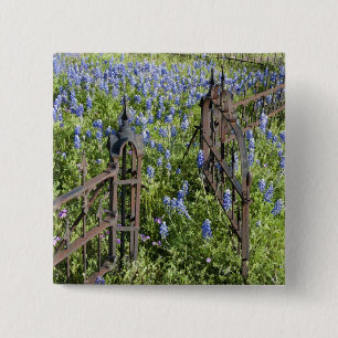 Bluebonnets and phlox surrounding cemetery gate 15 cm square badge