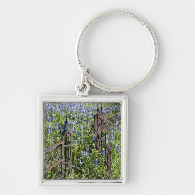 Bluebonnets and phlox surrounding cemetery gate key ring (Front)