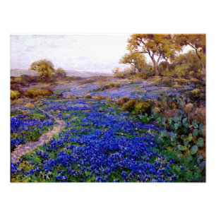 Bluebonnets at Twilight, North of San Antonio Photo Print