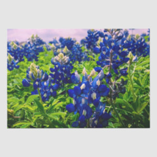 Bluebonnets Blue Floral Texas Texan Elegant Tissue Paper