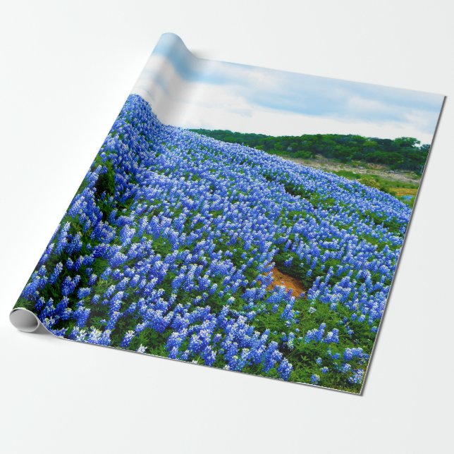Bluebonnets Blue Floral Texas Texan Elegant  Wrapping Paper (Unrolled)