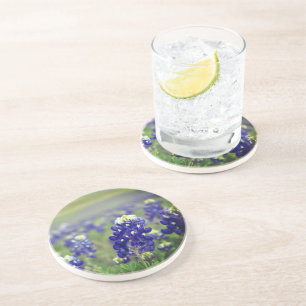 Bluebonnets Blue Flowers Texas Texan Floral Coaster