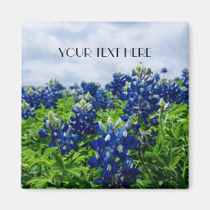 Bluebonnets Blue Flowers Texas texan Floral Magnet