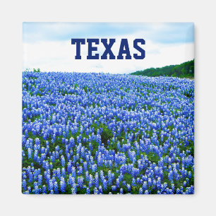 Bluebonnets Blue Flowers Texas Texan Floral Magnet