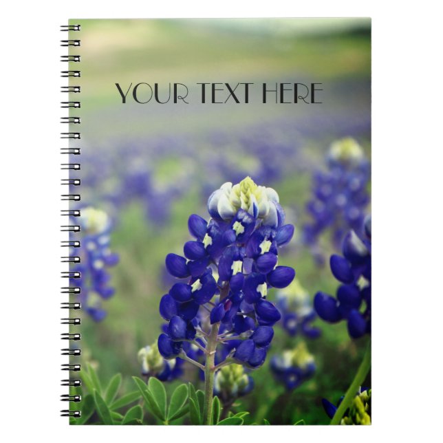 Bluebonnets Blue Flowers Texas texan Floral  Notebook (Front)