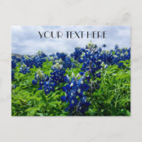 Bluebonnets Blue Flowers Texas texan Floral