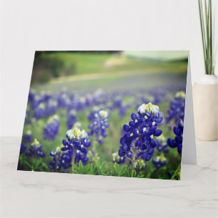 Bluebonnets Blue Flowers Texas Texan Floral Thank You Card